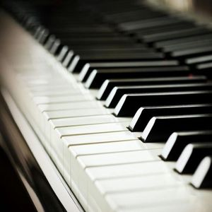 Z〇Z○女人另类Z〇Zo
